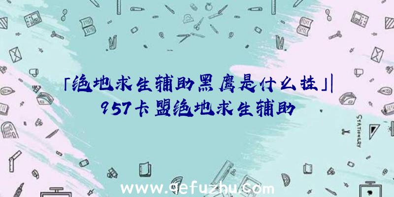 「绝地求生辅助黑鹰是什么挂」|957卡盟绝地求生辅助